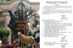 Good News: लखनऊ चिड़ियाघर आज से खुलेगा: गर्मी की छुट्टियों में बच्चों और
परिवारों के लिए बड़ी खुशखबरी - image