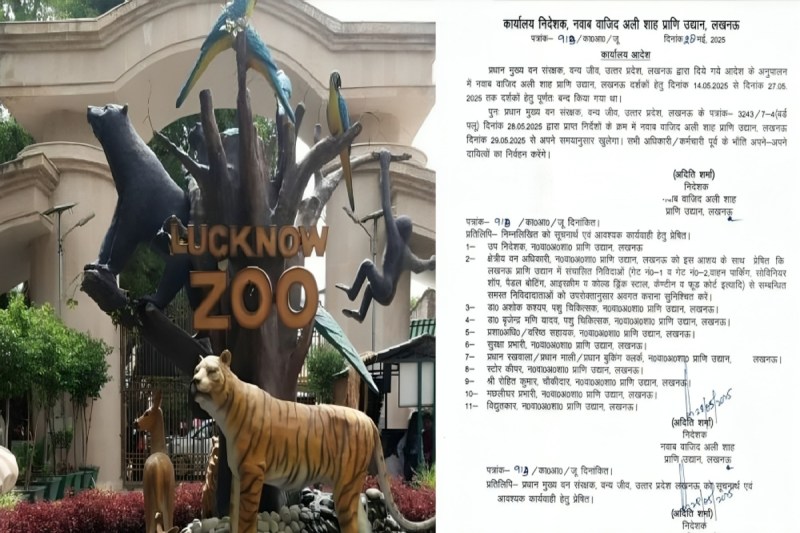 फोटो सोर्स : Patrika: लखनऊ चिड़ियाघर खुला, बच्चों के लिए गर्मियों की छुट्टी में तोहफा