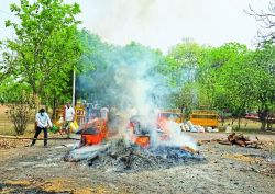 फूंक दिए 3.46 करोड़ के मादक पदार्थ - image