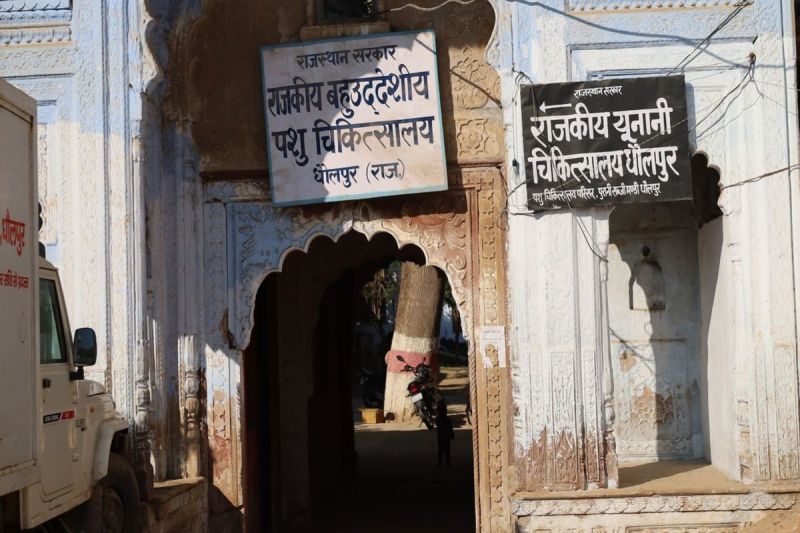 तकनीक का कमाल...गाय के बछिया तो भैंस के होगी पडिय़ा Amazing technology...if a cow has a female calf then it will be a male calf