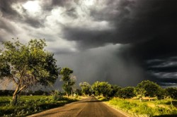 Raebareli Rain Alert: रायबरेली सहित 20 जिलों में बारिश-बिजली का कहर, लेकिन जल्द
लौटेगी तपती गर्मी - image