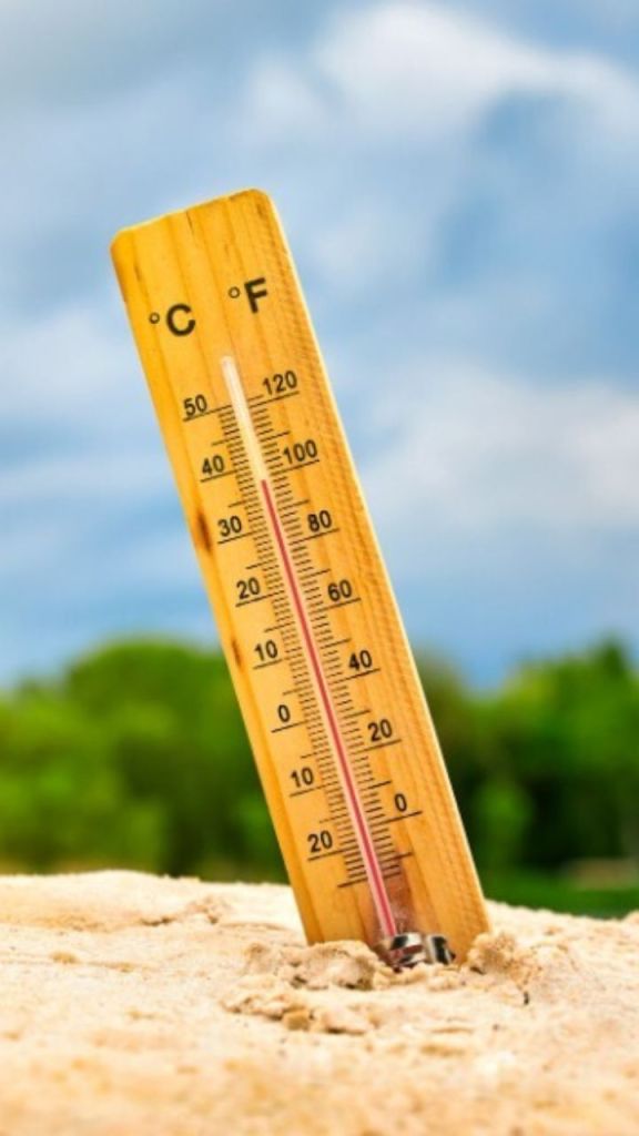 CG Weather Update: गरज-चमक और बारिश के साथ तापमान में उतार-चढ़ाव संभव, IMD का ताजा अपडेट जारी
