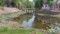 दमोह में तालाबों का अस्तित्व खतरे में, 11 में से केवल 8 तालाब बचे - image