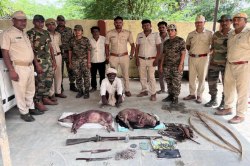 शेरगढ़ अभयारण्य से शिकारी गिरफ्तार, दो फरार - image