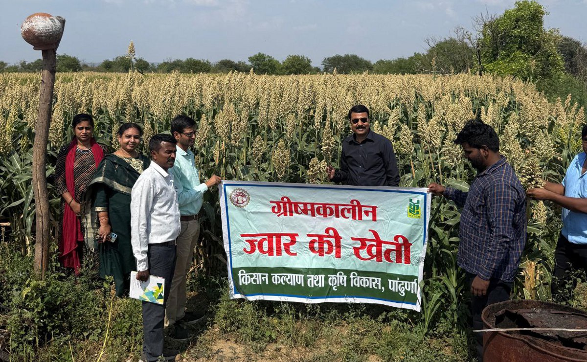 ग्रीष्मकालीन ज्वार का निरीक्षण करने पहुंची कृषि विभाग की टीम