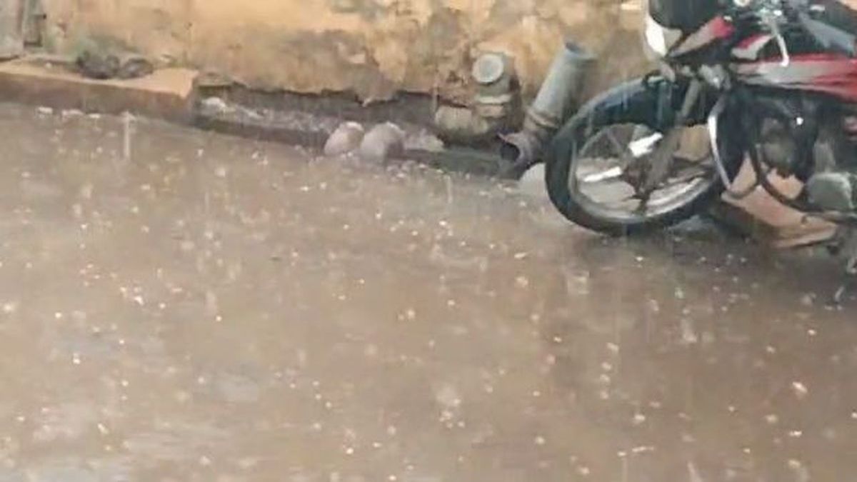 Watch Video: जैसलमेर में मौसम में सुखद बदलाव से हर कोई आह्लादित