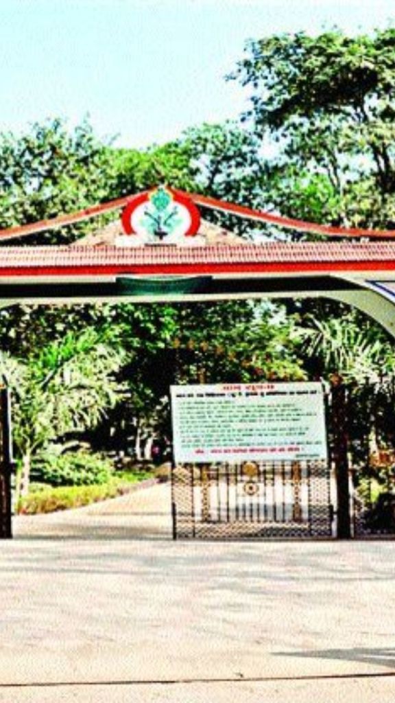 CG News: नंदनवन जंगल सफारी में स्कूली बच्चे सिख रहे पर्यावरण संरक्षण का पाठ