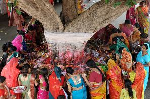 Vat Savitri 2025: वट सावित्री पूजन के लिए सजा बाजार, बरगद के नीचे आज सुहागिनों का मेला, देखें