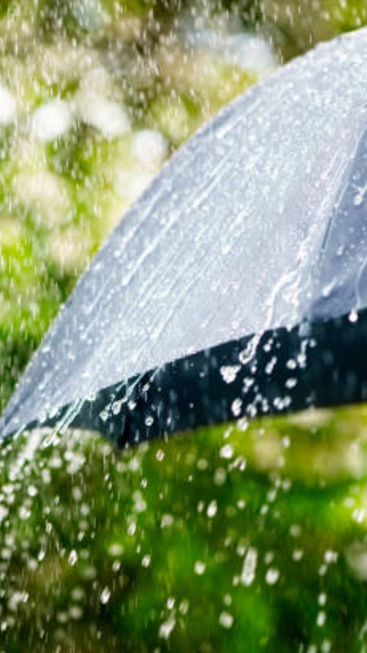 CG Pre Monsoon 2025: अगले 5 दिनों तक आंधी- बारिश की संभावना, प्री-मानूसन की गतिविधियां तेज