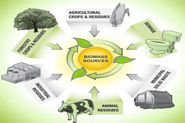 UP Bioenergy