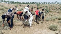 अमृतम जलम अभियान: जल संरक्षण का संदेश देने बढ़े हाथ - image