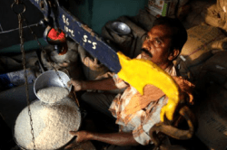 Good News: राशन दुकानों से एक साथ मिलेगा 3 महीने का राशन, ये है बड़ी वजह - image