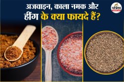 Ajwain Hing Kala Namak Benefits: पेट साफ नहीं रहता? आजमाएं काला नमक, हींग और
अजवाइन का नुस्खा, जानें और भी कई फायदे - image