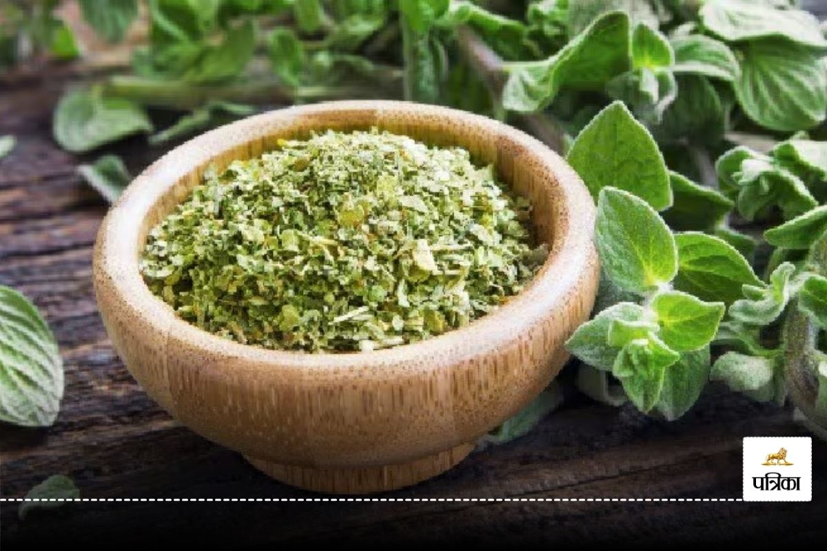 Ajwain Leaves Benefits: रोजाना अजवाइन के पत्ते खाने से सेहत को मिलते हैं ये 5
जबरदस्त फायदे