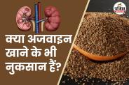 फोटो सोर्स – Freepik,फोटो डिजाइन- पत्रिका.com