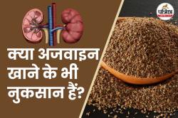 Ajwain Side Effects: किडनी से लेकर अल्सर तक, अजवाइन के ज्यादा सेवन से हो सकते
हैं ये 6 बड़े नुकसान - image