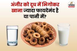 Soaked Anjeer Benefits: पानी में भीगे अंजीर या दूध में भीगे अंजीर, किसका सेवन
स्वास्थ्य के लिए अधिक लाभदायक है - image