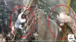 Moradabad: 60 फीट गहरे कुएं में गिरा बंदर का बच्चा, तीन घंटे चला रेस्क्यू
ऑपरेशन, इस तरह निकाला सुरक्षित बाहर - image