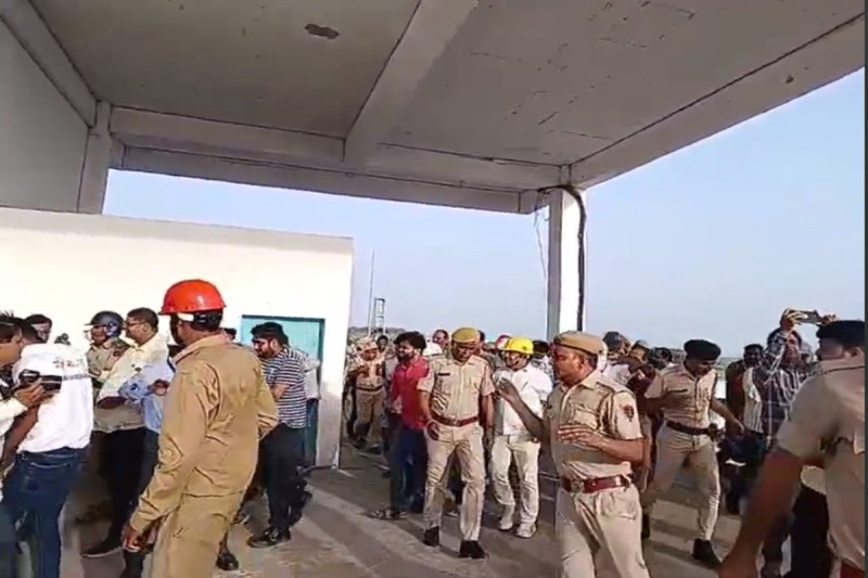 Bees attack during mock drill at Kalisindh dam