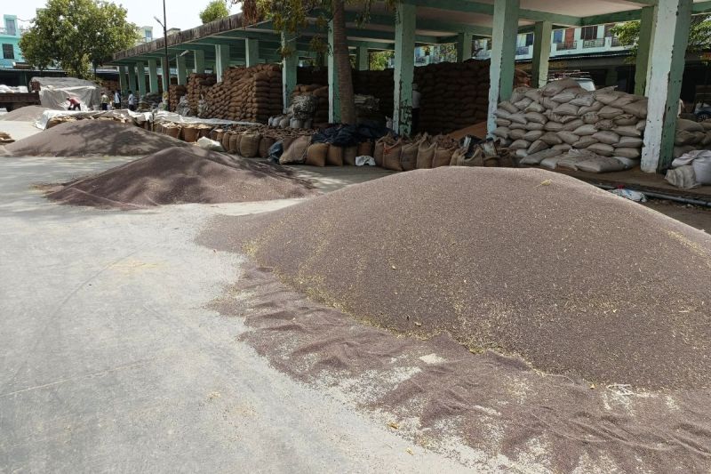 Behror Agricultural Produce Market