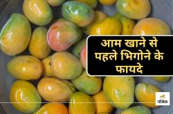 Mango Benefits : आम को खाने से पहले ठंडे पानी में भिगोना क्यों जरुरी , जानिए
न्यूट्रिशनिस्ट से - image