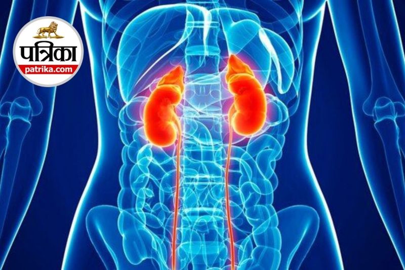 Best Herbs For Kidney Health