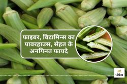 फाइबर, विटामिन A, C, पोटेशियम, मैग्नीशियम से भरपूर है गर्मियों की ये सब्जी,
जानिए अनगिनत फायदे - image