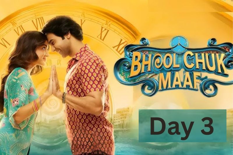 Bhool chuk maaf Box office collection Day 3