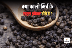 Black Pepper Side Effects: काली मिर्च का अधिक मात्रा में सेवन से शरीर को हो सकते
हैं ये 5 नुकसान - image
