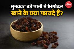 Soaked Munakka Benefits: भीगे मुनक्के के 5 फायदे, आज ही करें अपनी डाइट में शामिल - image