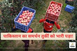 तुर्की के सेब का बहिष्कार! व्यापारी बोले- पाकिस्तान का साथ देने वाले ‘गद्दार’ को
सबक सिखाएंगे - image