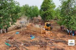 Bulldozer action: वन भूमि पर कब्जा कर बना लिए थे 11 अवैध मकान, वन विभाग ने
बुलडोजर चलाकर किया जमींदोज - image