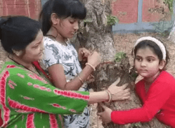 कटने से बचाने वृक्षों से चिपक गए बच्चे, हजारों पेड़ों को सुरक्षित रखने की लोगों
की बड़ी मुहिम - image