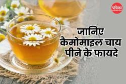 Chamomile Tea Benefits: वजन कम और बेहतर नींद के लिए पिएं कैमोमाइल चाय, जानिए
इसके 5 जबरदस्त फायदे - image