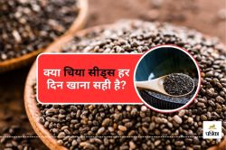 Benefits of Chia Seeds : हर दिन Chia Seeds खाना है सेहतमंद, लेकिन इन 5 लोगों को
रहना चाहिए दूर - image