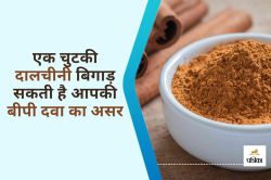 Cinnamon Side Effects : एक चुटकी दालचीनी बिगाड़ सकती है आपकी BP की दवा का असर ,
जानिए कितनी मात्रा है सही - image