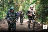Bijapur Naxal Encounter: मुठभेड़ में 20 से ज्यादा नक्सलियों ढेर, कर्रेगुट्टा पहाड़ी पर 15 दिनों से चल रही फायरिंग...