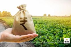 CG News: किसानों को बंटेगा 300 करोड़ का कर्ज, कृषि कार्य में मिलेगी मदद - image