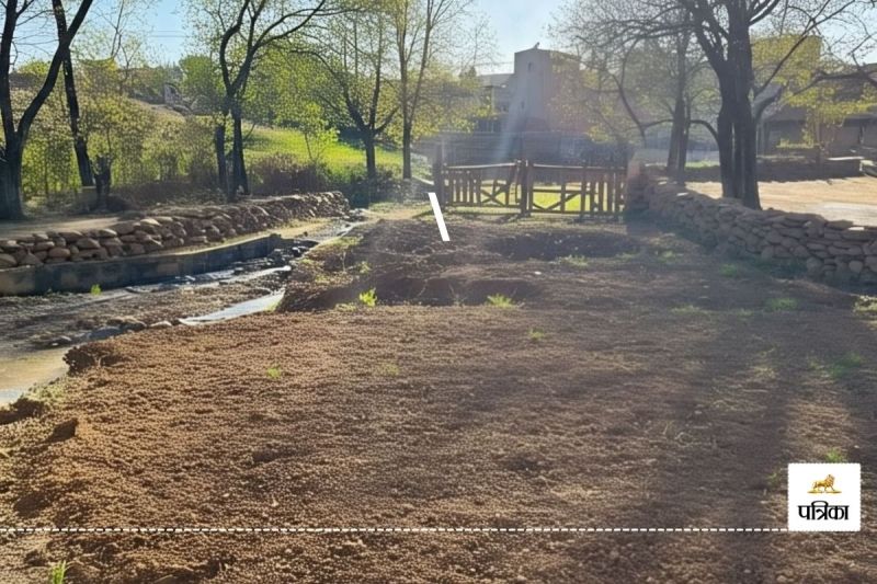 जमीनों की रजिस्ट्री पर रोक लगाने निगम ने लिखा पत्र (फोटो-AI)