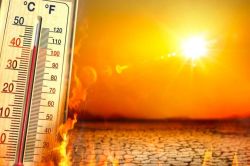 Rajasthan Weather: मानसून ने पकड़ी रफ्तार, राजस्थान में जून में इस तारीख को
मानसून की एंट्री! - image