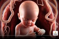 6-7 महीने का नाली में मिला भ्रूण (Photo- Patrika)