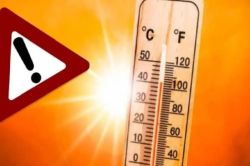 Red Alert: राजस्थान के 7 शहरों में हीटवेव का रेड अलर्ट, भीषण गर्मी का थर्ड
डिग्री टॉर्चर - image