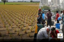 देशभर में 3 दिन में उत्तरप्रदेश का बांदा दूसरी बार सबसे गर्म जिला, जानें क्या है
कारण? - image