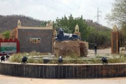 Nahargarh Biological Park: तारा-रानी के शावकों से लौटी रौनक, नई पीढ़ी से जैविक
उद्यान में सन्नाटा खत्म - image