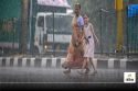 Hailstorms, Strong Winds, and Temperature Drop Bring Relief from Heatwave in
Parts of CG