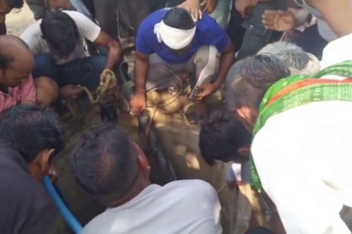 भरतपुर में बड़ा हादसा, कुएं में उतरे पिता-पुत्र का जहरीली गैस से घुटा दम, जेसीबी
से बाहर निकाले शव
