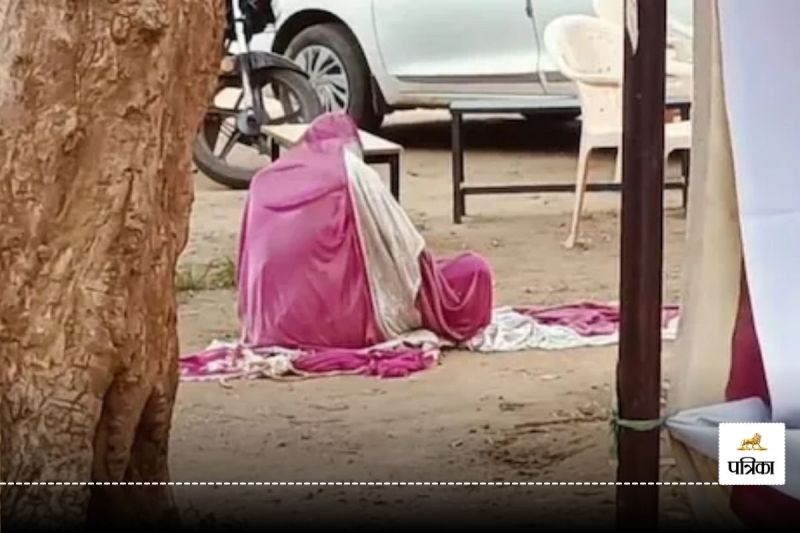 सुशासन शिविर में मधुमक्खियों का हमला, अधिकारी-कर्मचारी और ग्रामीण भागे, 2 घायल