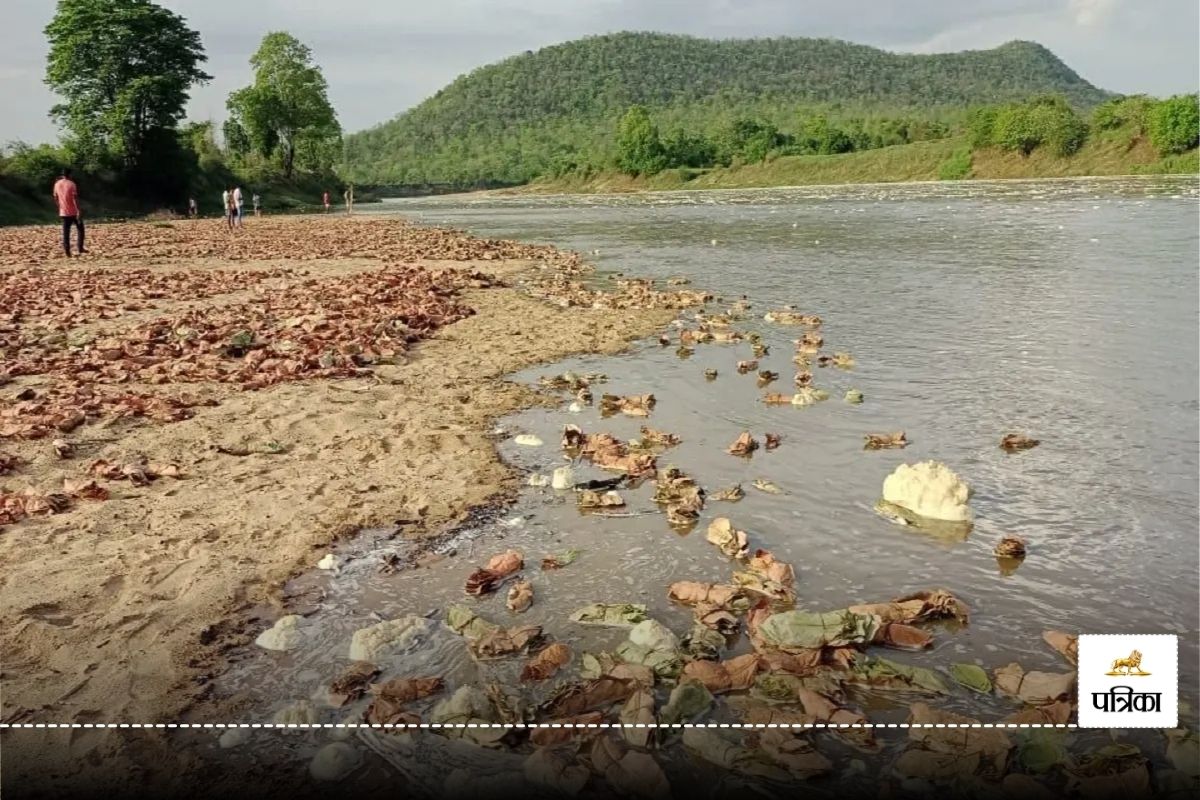 CG News: बारिश ने मचाई तबाही! नदी में बह गया लाखों का हरा सोना, देखें Video