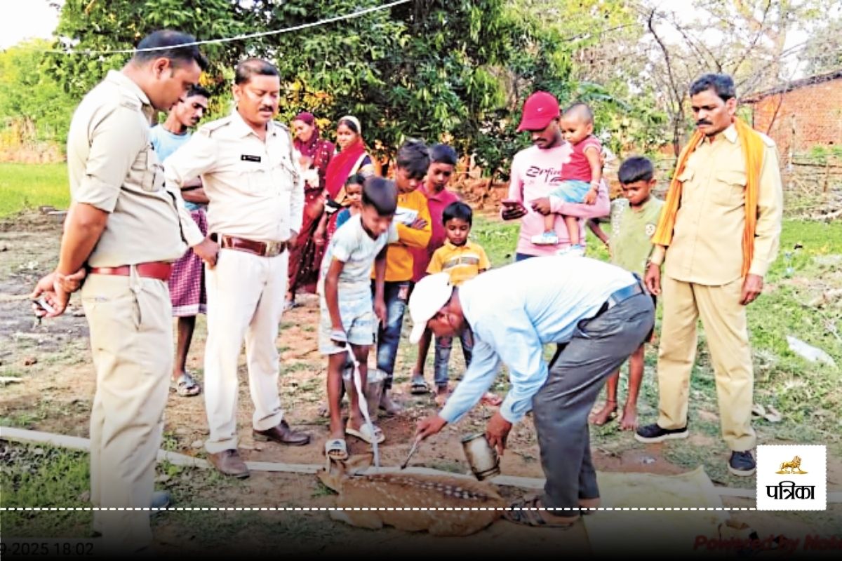 CG News: जंगल छोड़ते जानवर… कुएं में गिरा तेंदुआ, तो चीतल को श्वानों ने नोचा, 3
दिन में आई 2 बड़ी घटनाएं