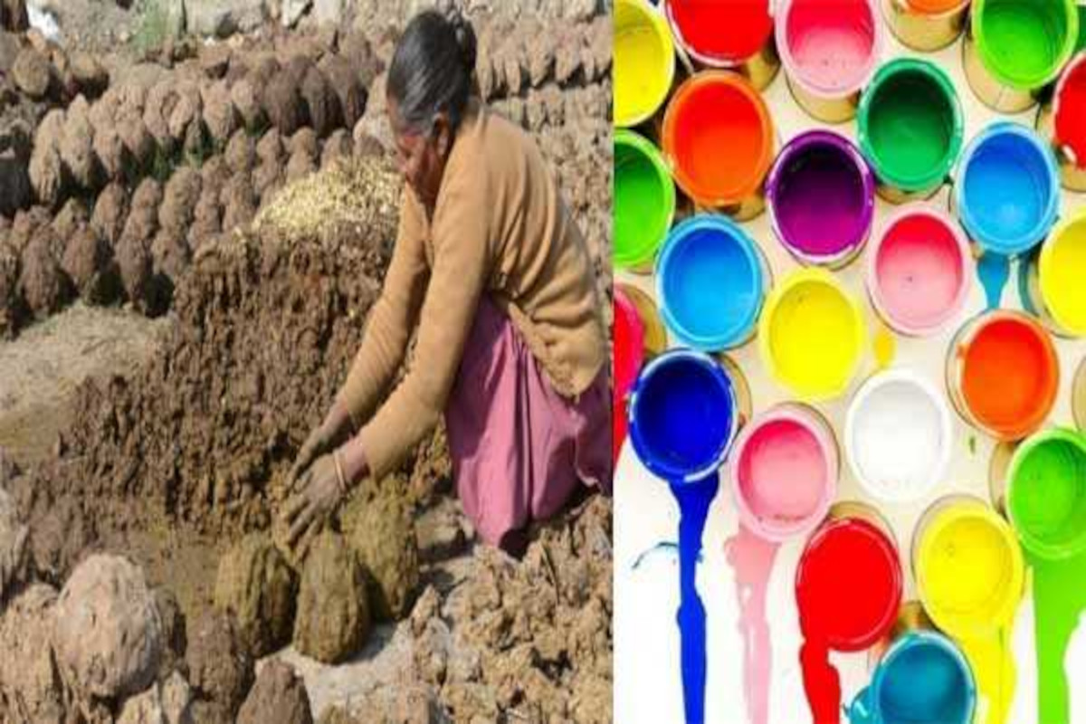 UP Rural Innovation: अब यूपी के सरकारी भवनों में क्यों होगा इस्तेमाल गोबर पेंट,
जानिए खास वजह